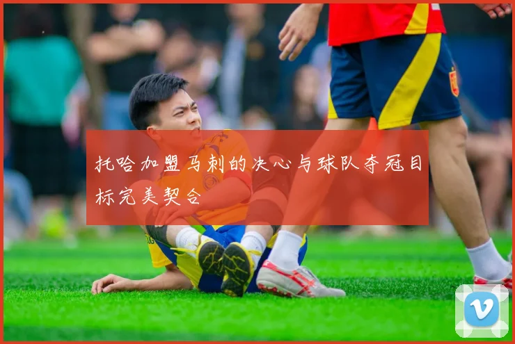 托哈加盟马刺的决心与球队夺冠目标完美契合