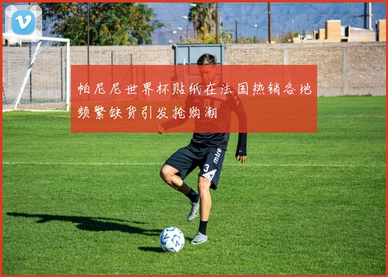 帕尼尼世界杯贴纸在法国热销各地频繁缺货引发抢购潮