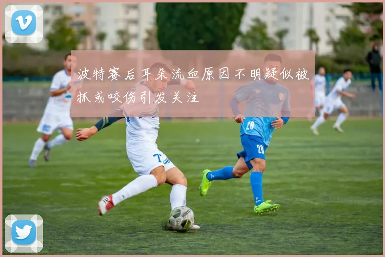 波特赛后耳朵流血原因不明疑似被抓或咬伤引发关注